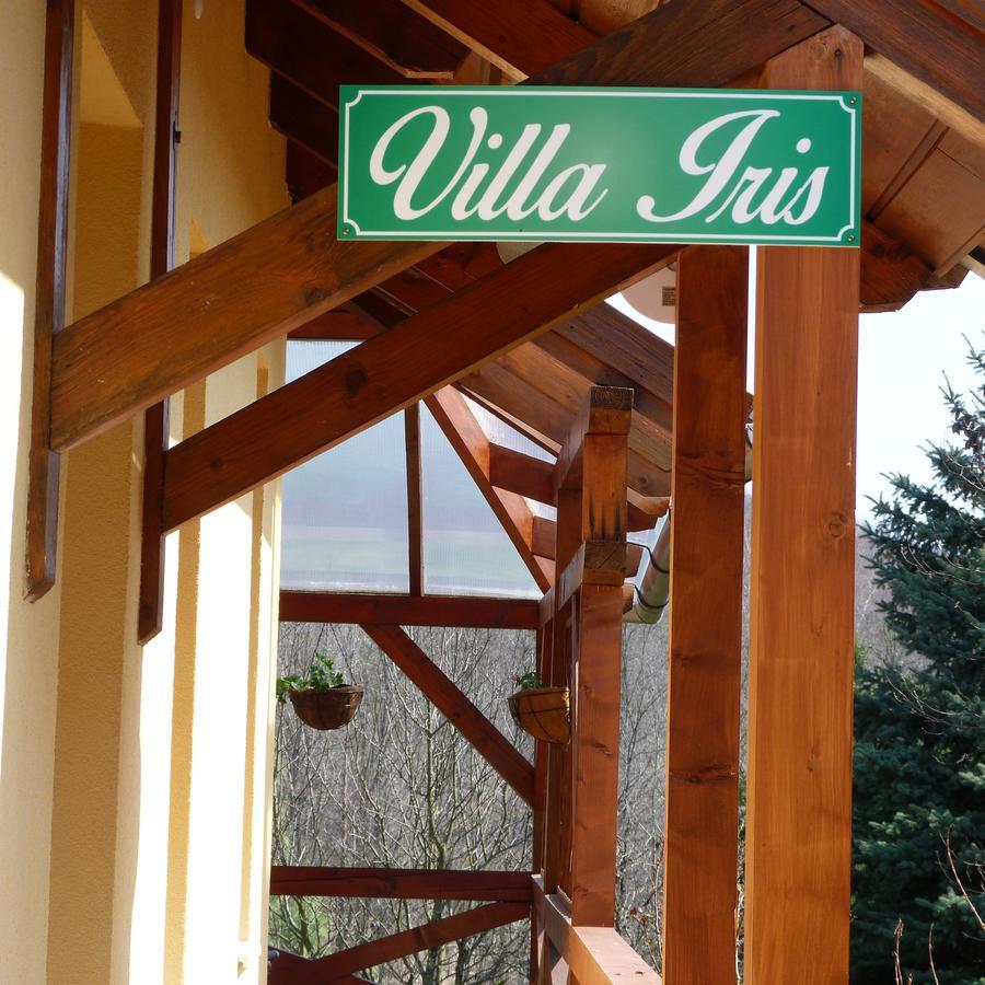 Villa Irisエゲルサローク エクステリア 写真